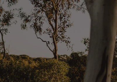 Imagen: 5 Amazing Bikepacking Trails That You Won't Forget In A Hurry