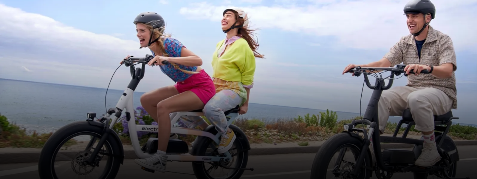 Usa best sale electra bicycle