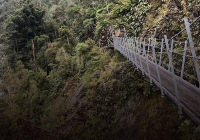 Imagen: 5 of the Best Mountain Biking Trails in New Zealand